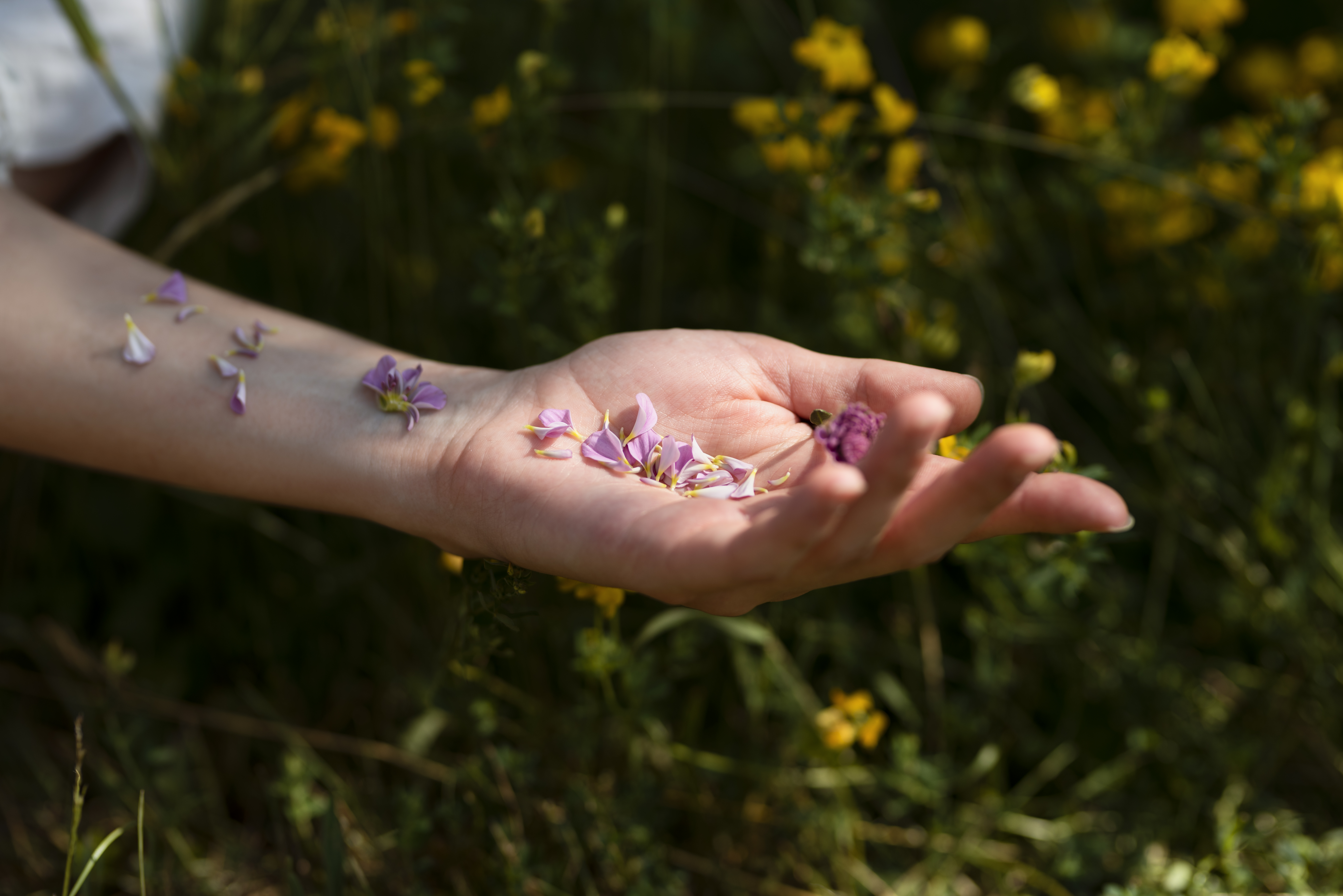 Pourquoi la Sophrologie Séduit de Plus en Plus de Personnes en Quête de Bien-Être sur la Côte d’Azur